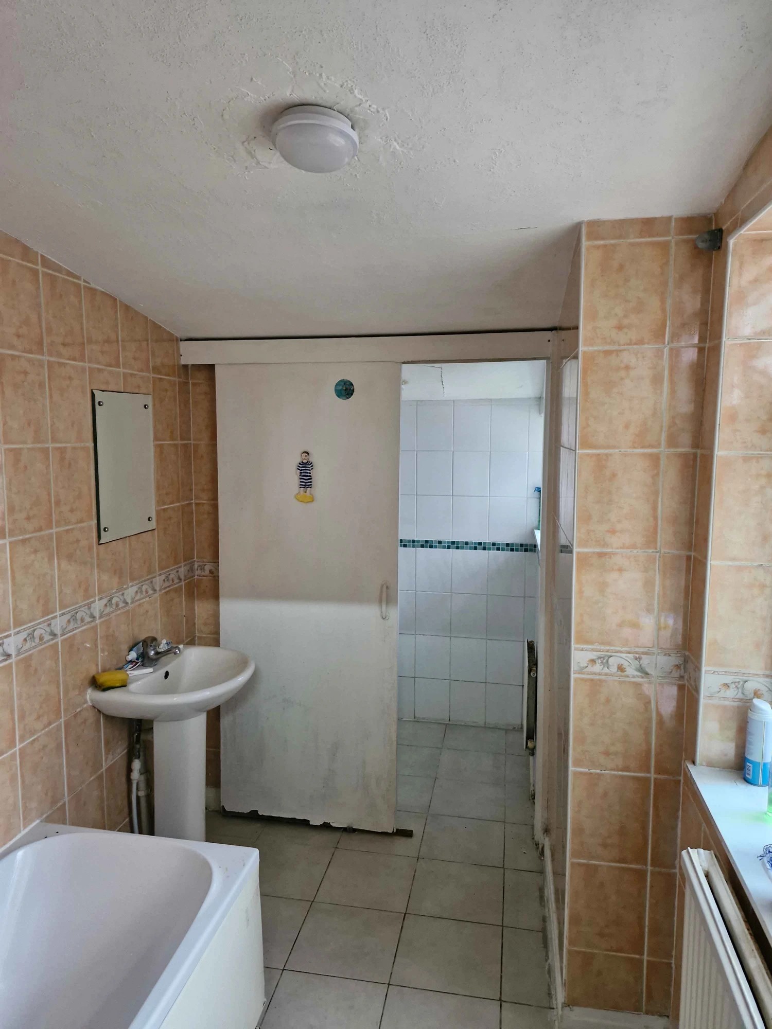 Bathroom Damp Remediation